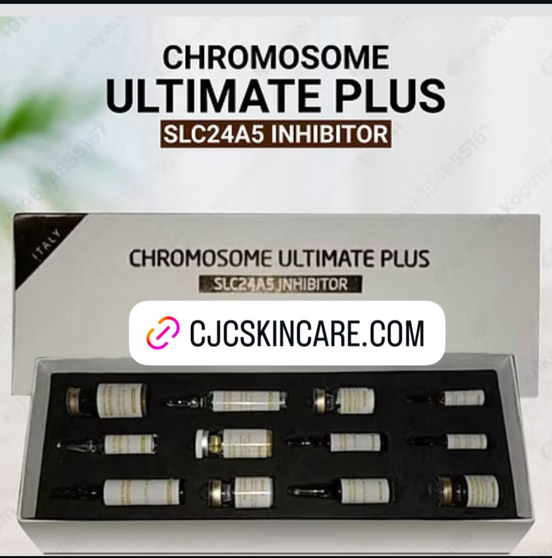 CHROMOSOME